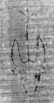 DE5025-tl78_280 - Typ:0 - ID: 154147 - Eintrag Nr.: 5 Wasserzeichen DE5025-tl78_280
