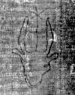 DE5025-tl78_306 - Typ:0 - ID: 154148 - Eintrag Nr.: 4 Wasserzeichen DE5025-tl78_306