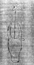 DE5025-tl78_347 - Typ:0 - ID: 154155 - Eintrag Nr.: 29 Wasserzeichen DE5025-tl78_347