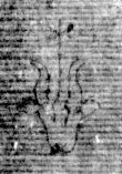 DE5025-tl78_362 - Typ:0 - ID: 154158 - Eintrag Nr.: 26 Wasserzeichen DE5025-tl78_362