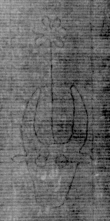 DE5025-tl72_49 - Typ:0 - ID: 154165 - Eintrag Nr.: 9 Wasserzeichen DE5025-tl72_49
