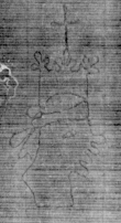 DE5025-tl72_53 - Typ:0 - ID: 154167 - Eintrag Nr.: 7 Wasserzeichen DE5025-tl72_53