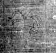 DE5025-tl72_87 - Typ:0 - ID: 154171 - Eintrag Nr.: 3 Wasserzeichen DE5025-tl72_87