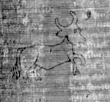 DE5025-tl80_54 - Typ:0 - ID: 154187 - Eintrag Nr.: 1 Wasserzeichen DE5025-tl80_54