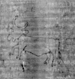 DE5025-tl80_88 - Typ:0 - ID: 154188 - Eintrag Nr.: 255 Wasserzeichen DE5025-tl80_88