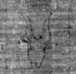 DE5025-tl80_171 - Typ:0 - ID: 154194 - Eintrag Nr.: 8 Wasserzeichen DE5025-tl80_171