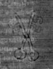 DE5025-tl80_179 - Typ:0 - ID: 154196 - Eintrag Nr.: 6 Wasserzeichen DE5025-tl80_179