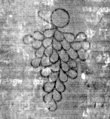 DE5025-tl80_230 - Typ:0 - ID: 154197 - Eintrag Nr.: 5 Wasserzeichen DE5025-tl80_230