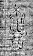 DE5025-tl81_11 - Typ:0 - ID: 154200 - Eintrag Nr.: 2 Wasserzeichen DE5025-tl81_11