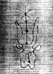 DE5025-tl81_20 - Typ:0 - ID: 154202 - Eintrag Nr.: 9 Wasserzeichen DE5025-tl81_20