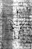 DE5025-tl81_28 - Typ:0 - ID: 154204 - Eintrag Nr.: 7 Wasserzeichen DE5025-tl81_28