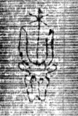 DE5025-tl81_34 - Typ:0 - ID: 154205 - Eintrag Nr.: 6 Wasserzeichen DE5025-tl81_34