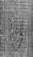 DE5025-tl81_36 - Typ:0 - ID: 154206 - Eintrag Nr.: 5 Wasserzeichen DE5025-tl81_36