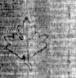 DE5025-tl82_10 - Typ:0 - ID: 154393 - Eintrag Nr.: 2 Wasserzeichen DE5025-tl82_10