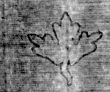 DE5025-tl82_23 - Typ:0 - ID: 154394 - Eintrag Nr.: 1 Wasserzeichen DE5025-tl82_23
