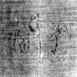 DE5025-tl82_143 - Typ:0 - ID: 154420 - Eintrag Nr.: 17 Wasserzeichen DE5025-tl82_143