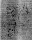DE5025-tl82_185 - Typ:0 - ID: 154424 - Eintrag Nr.: 13 Wasserzeichen DE5025-tl82_185