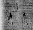 DE5025-tl82_187 - Typ:0 - ID: 154425 - Eintrag Nr.: 12 Wasserzeichen DE5025-tl82_187