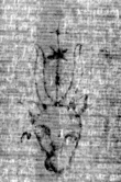 DE5025-tl82_247 - Typ:0 - ID: 154431 - Eintrag Nr.: 6 Wasserzeichen DE5025-tl82_247
