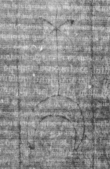 DE5025-tl86_5 - Typ:0 - ID: 154451 - Eintrag Nr.: 29 Wasserzeichen DE5025-tl86_5