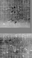 DE5025-tl83_30 - Typ:0 - ID: 154683 - Eintrag Nr.: 1 Wasserzeichen DE5025-tl83_30