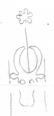 DE5580-Clm14691_206/213 - Typ:0 - ID: 154781 - Eintrag Nr.: 8 Wasserzeichen DE5580-Clm14691_206/213