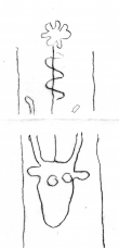 DE5580-Clm14707_309/312 - Typ:0 - ID: 154877 - Eintrag Nr.: 122 Wasserzeichen DE5580-Clm14707_309/312