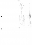 DE5580-Clm14772_139/157 - Typ:0 - ID: 154896 - Eintrag Nr.: 26 Wasserzeichen DE5580-Clm14772_139/157