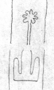 DE5580-Clm14796_213/217 - Typ:0 - ID: 154903 - Eintrag Nr.: 1 Wasserzeichen DE5580-Clm14796_213/217