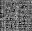 Wasserzeichen FR7600-131_135