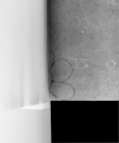 DE0465-8Cod59_7 - Typ:0 - ID: 155339 - Eintrag Nr.: 9 Wasserzeichen DE0465-8Cod59_7