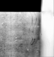 DE0465-8Cod65_286 - Typ:0 - ID: 155385 - Eintrag Nr.: 63 Wasserzeichen DE0465-8Cod65_286