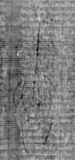 DE5025-tl88_8 - Typ:0 - ID: 155622 - Eintrag Nr.: 3 Wasserzeichen DE5025-tl88_8