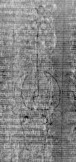 DE5025-tl88_9 - Typ:0 - ID: 155623 - Eintrag Nr.: 2 Wasserzeichen DE5025-tl88_9
