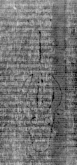 DE5025-tl88_11 - Typ:0 - ID: 155624 - Eintrag Nr.: 1 Wasserzeichen DE5025-tl88_11