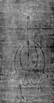 DE5025-tl88_15 - Typ:0 - ID: 155625 - Eintrag Nr.: 10 Wasserzeichen DE5025-tl88_15