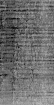 DE5025-tl88_26 - Typ:0 - ID: 155626 - Eintrag Nr.: 9 Wasserzeichen DE5025-tl88_26