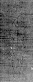 DE5025-tl88_41 - Typ:0 - ID: 155627 - Eintrag Nr.: 8 Wasserzeichen DE5025-tl88_41