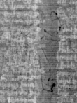 DE5025-tl69_104 - Typ:0 - ID: 155669 - Eintrag Nr.: 106 Wasserzeichen DE5025-tl69_104