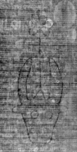 DE5025-tl69_126 - Typ:0 - ID: 155670 - Eintrag Nr.: 12 Wasserzeichen DE5025-tl69_126