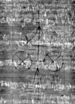 DE5025-tl92_23 - Typ:0 - ID: 155785 - Eintrag Nr.: 16 Wasserzeichen DE5025-tl92_23