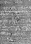 DE5025-tl92_79 - Typ:0 - ID: 155793 - Eintrag Nr.: 5 Wasserzeichen DE5025-tl92_79