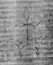DE5025-tl92_341 - Typ:0 - ID: 155797 - Eintrag Nr.: 2 Wasserzeichen DE5025-tl92_341