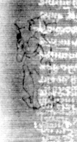 DE5025-tl93_280 - Typ:0 - ID: 155808 - Eintrag Nr.: 113 Wasserzeichen DE5025-tl93_280