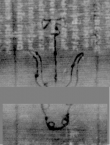 Wasserzeichen DE3270-theol205_15