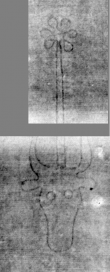 Wasserzeichen DE3270-theol216_2