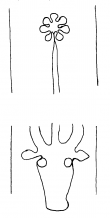 DE4860-Ms1595_3_10 - Typ:0 - ID: 156246 - Eintrag Nr.: 1 Wasserzeichen DE4860-Ms1595_3_10