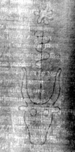 DE8850-3.2A2_30 - Typ:0 - ID: 156310 - Eintrag Nr.: 125 Wasserzeichen DE8850-3.2A2_30