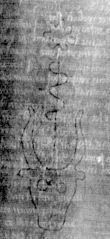 DE8850-3.2A2_47 - Typ:0 - ID: 156314 - Eintrag Nr.: 127 Wasserzeichen DE8850-3.2A2_47