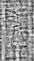 DE5580-Cgm7366_151 - Typ:0 - ID: 156631 - Eintrag Nr.: 175 Wasserzeichen DE5580-Cgm7366_151